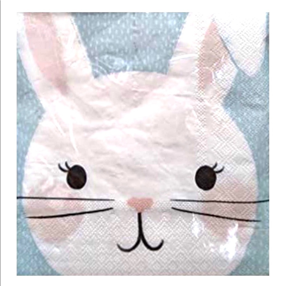 Lady Jayne Luncheon Dinner Napkins - Sweet Bunny Face, 40 ct